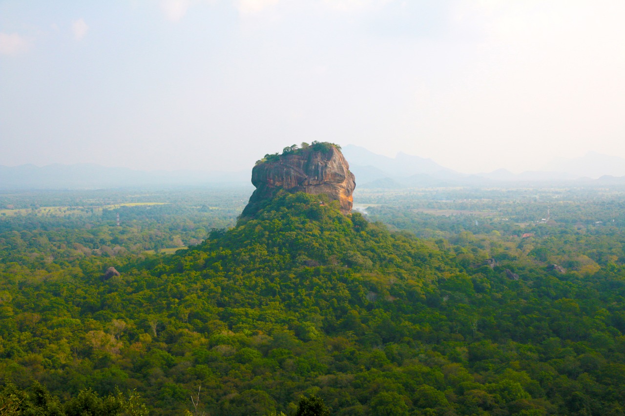 Day Tour to Sigiriya & Dambulla