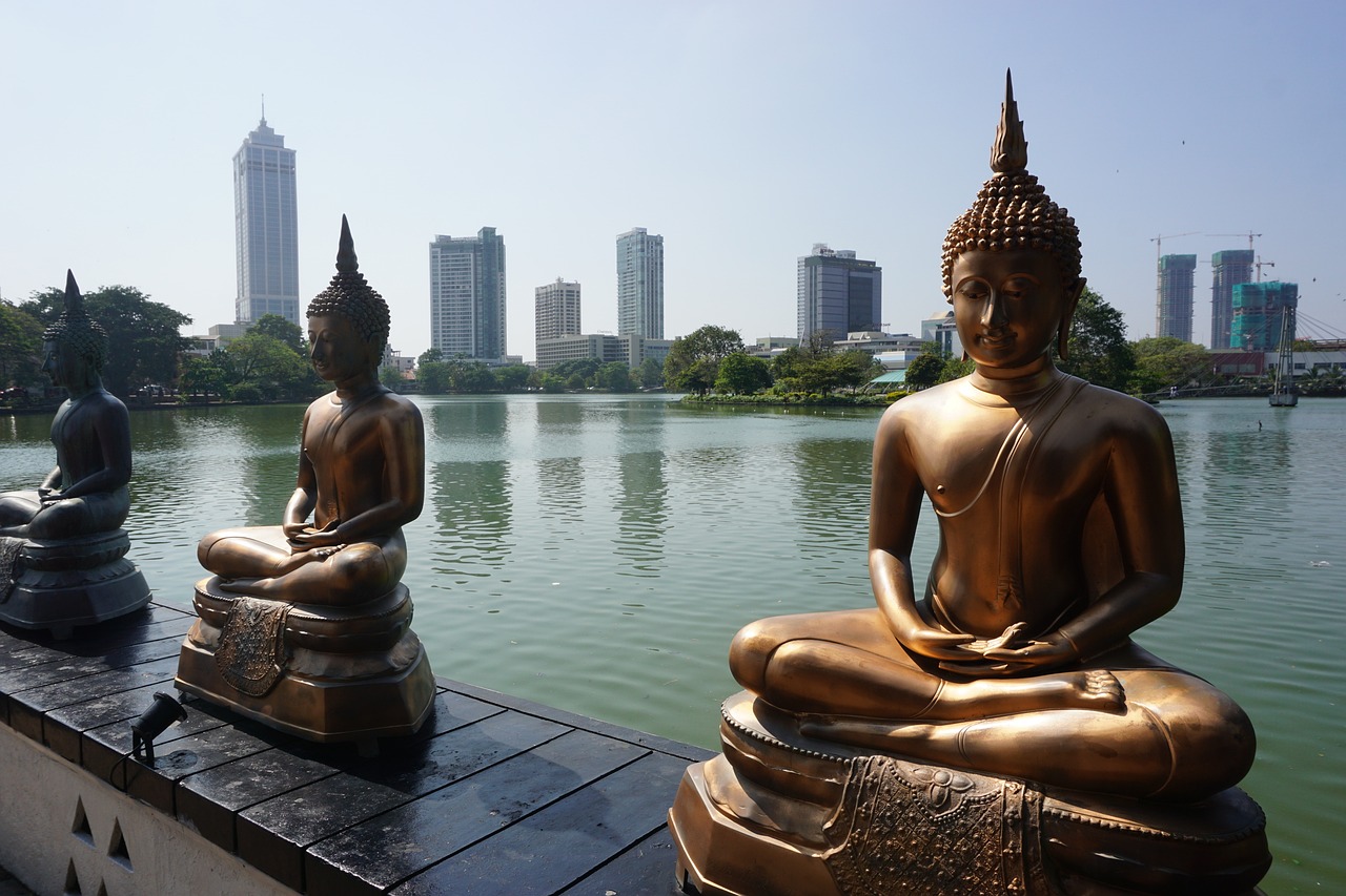 Day Tour to Colombo City