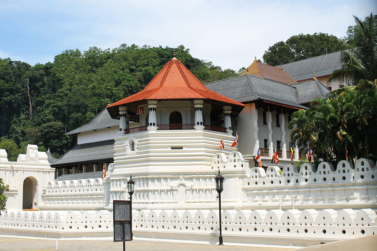 Day Tour to Kandy